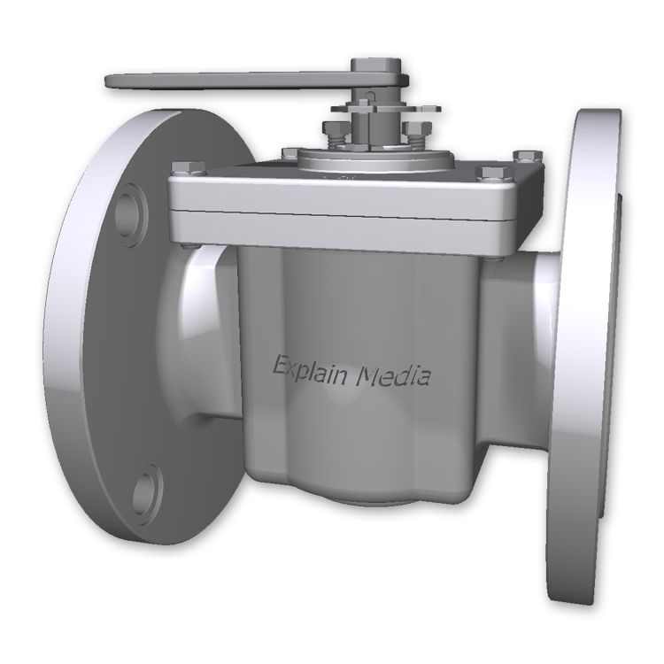 Plug Valve